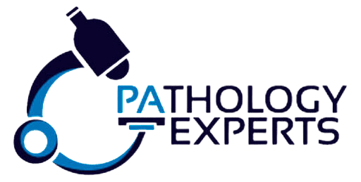 The Expert Path A Complete Guide to Building Mastery and Authority