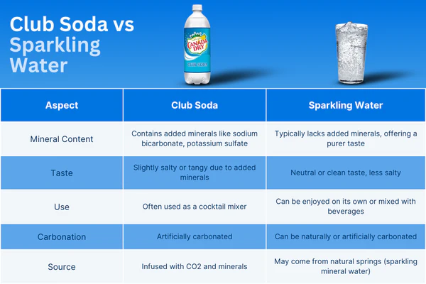 Seltzer vs Sparkling Water: The Complete Guide to Fizzy Refreshment
