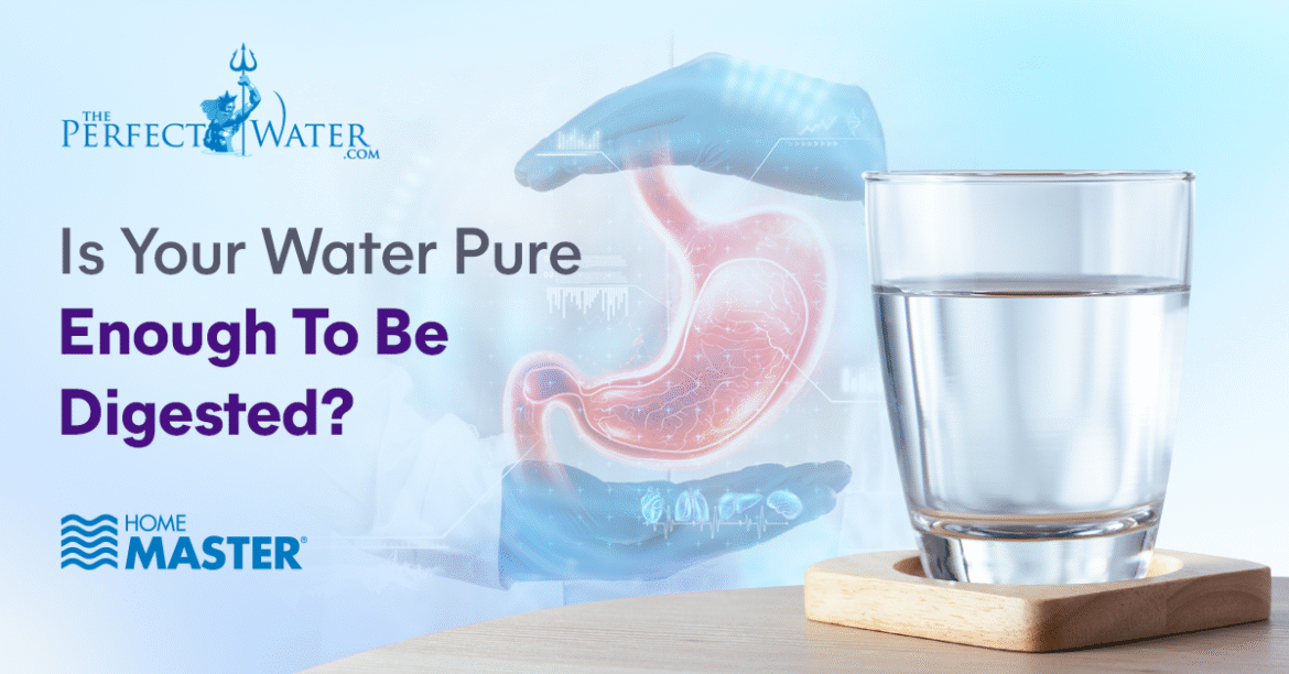Why Does Pure Water Dehydrate You? The Science of Hydration Most People Don’t Know